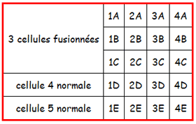 relier les cellules des tableaux (attributs colspan et rowspan)