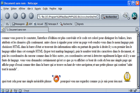 Netscape Navigator