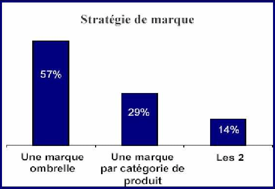 stratégie de marques ombrelles et marques par catégories de produits